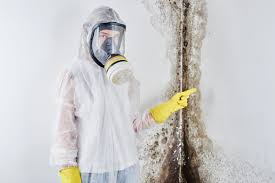 Best Emergency Mold Remediation  in Forestdale, MA